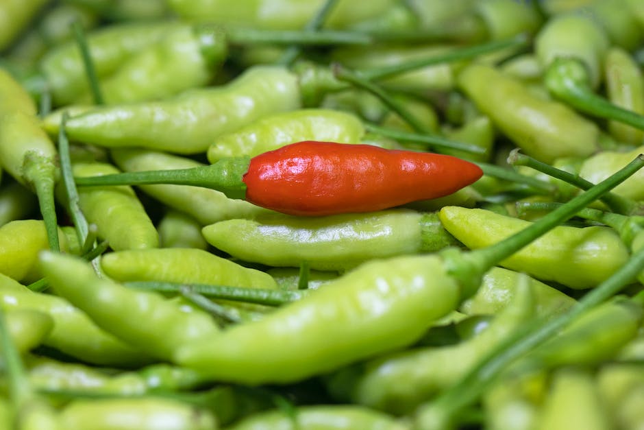 Paprika richtig lagern: Zeit, Aufbewahrung und Lagerung