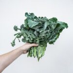 Welches Gemüse am besten im Kühlschrank gelagert werden sollte