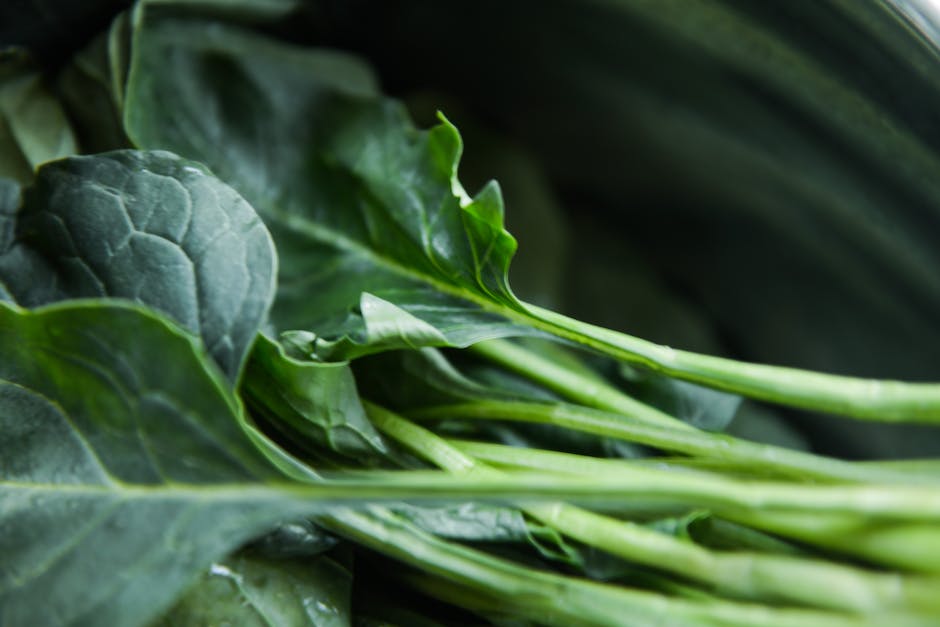 Gemüselagerung: Welche Gemüsesorte eignet sich am besten?