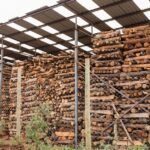 Holz lagern - Tipps und Tricks für den sicheren Umgang mit Holz