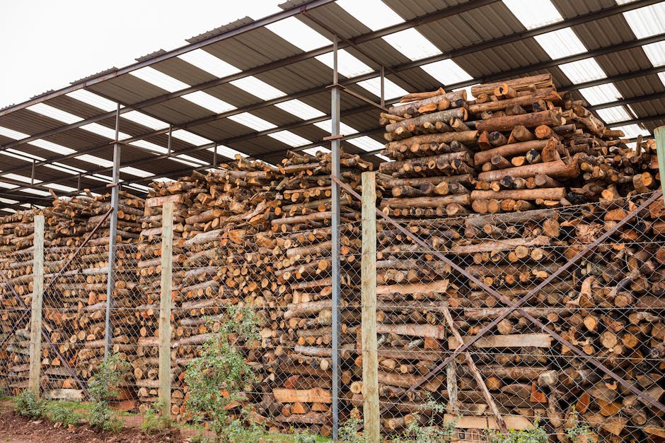 Holz lagern - Tipps und Tricks für den sicheren Umgang mit Holz