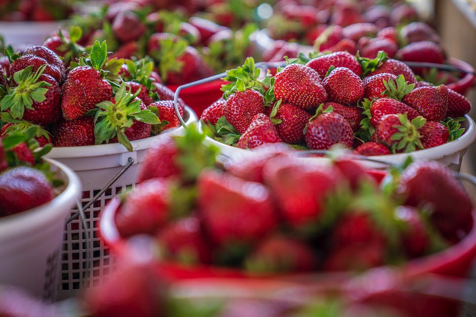 Lagerung von Erdbeeren: die besten Tipps