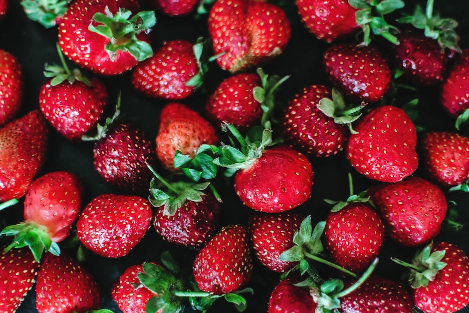 Lagerzeit von Erdbeeren erhöhen