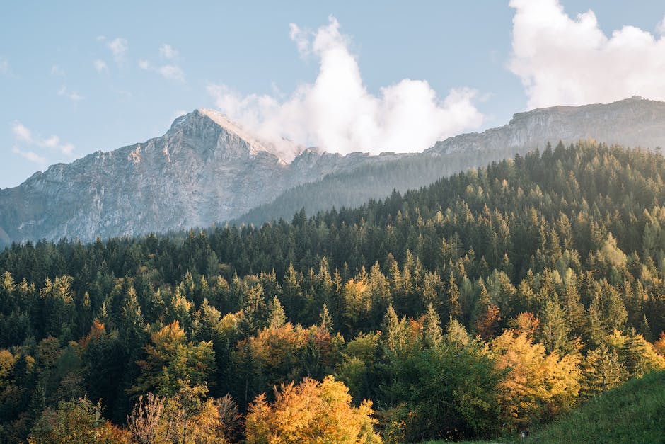 Holz lagern: wie lange ist notwendig?