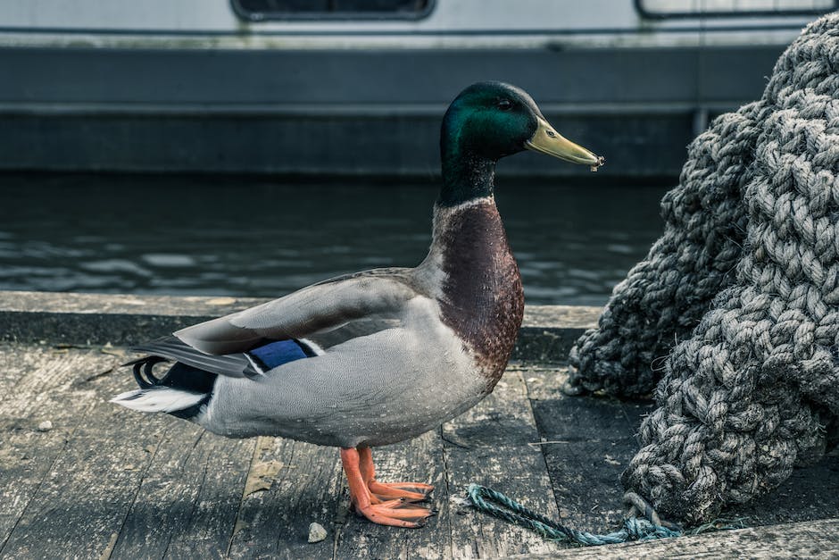 Wasser für längere Zeit lagern